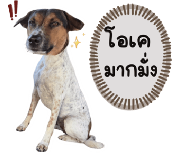 ลายที่ 19