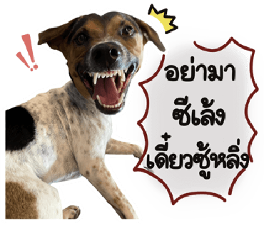 ลายที่ 21