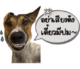 ลายที่ 45