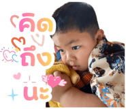 834006603