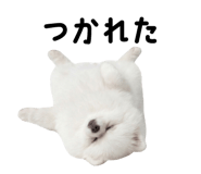 834020475