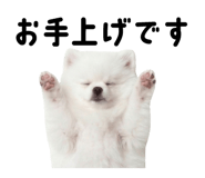 834020479