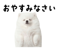 834020490