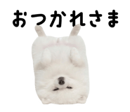 834020497