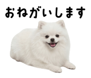 834020499