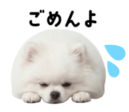 834020500