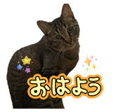 834025504