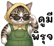 834025657