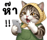 834025658