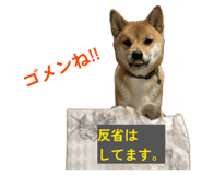 834027156