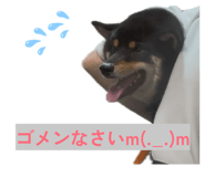 834027157