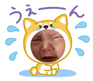 834030803