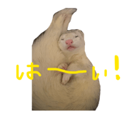834031873