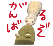 834031876