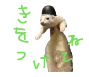 834031877