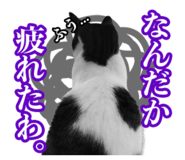 834032097