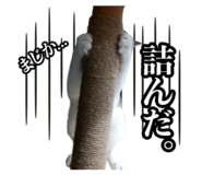 834032101