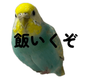 834035468