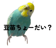 834035470