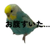 834035471