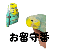 834035577