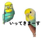 834035578