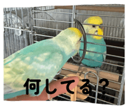 834035579