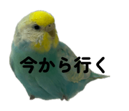 834035582
