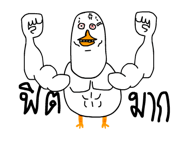 834036976