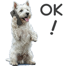 ลายที่ 3