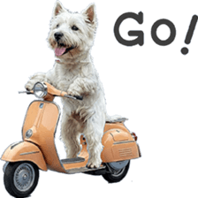 ลายที่ 15