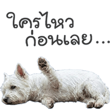 ลายที่ 19