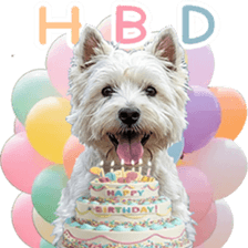 ลายที่ 27