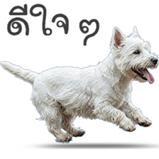 ลายที่ 39