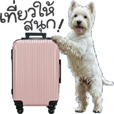 ลายที่ 55