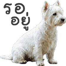 ลายที่ 57