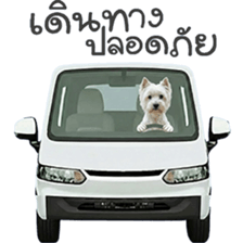 ลายที่ 65