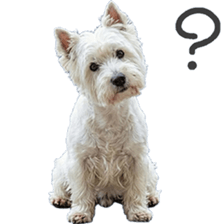 ลายที่ 73