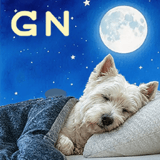 ลายที่ 79