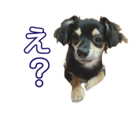 834040185