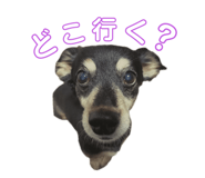 834040187