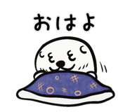 834047887
