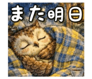 834050155