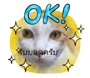 834073216