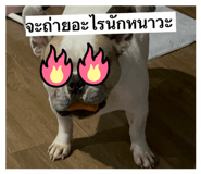 834074637