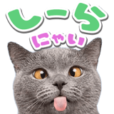 834078776