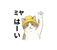 834079077