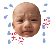 834084251