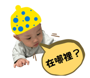834084259