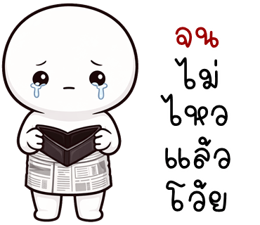 ลายที่ 13